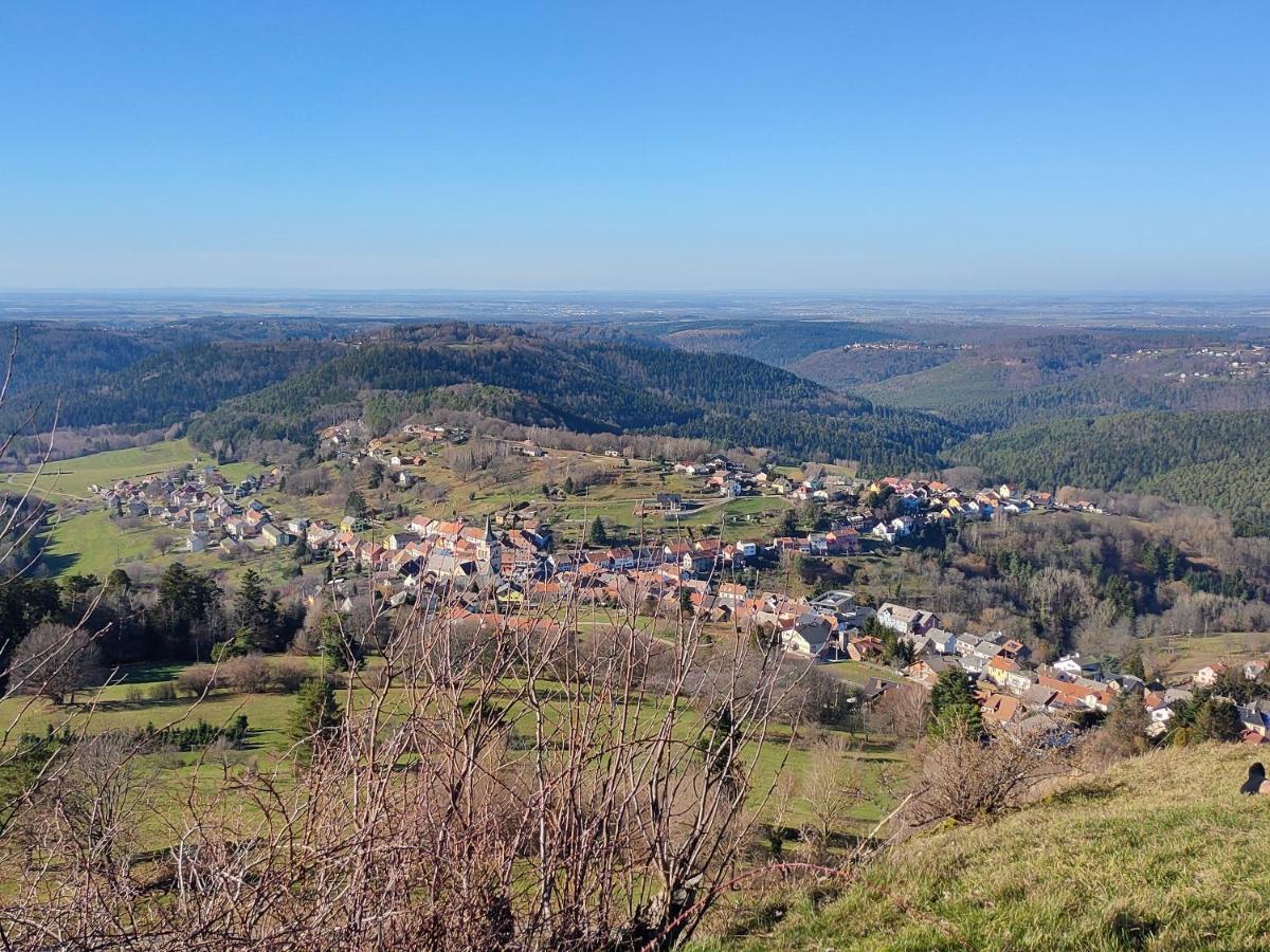 Le Chalet De Rothenbuhl Dabo Bagian luar foto